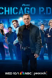 Полиция Чикаго онлайн